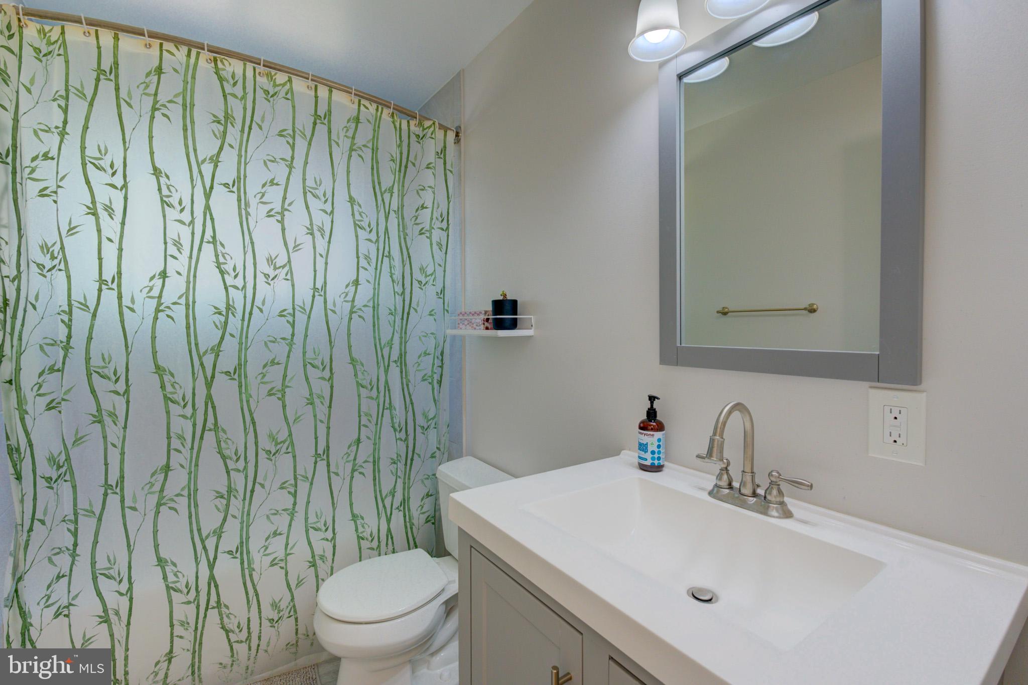 1602 Veirs Mill Road Rockville, MD 20851 - Photo 19 of 50 Serene bathroom with nature-inspired decor.