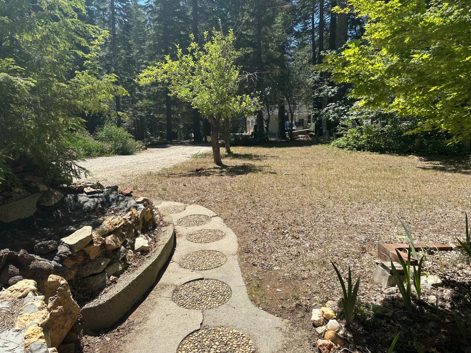 35344 Graniteville Road Nevada City, CA 95959 - Photo 14 of 21