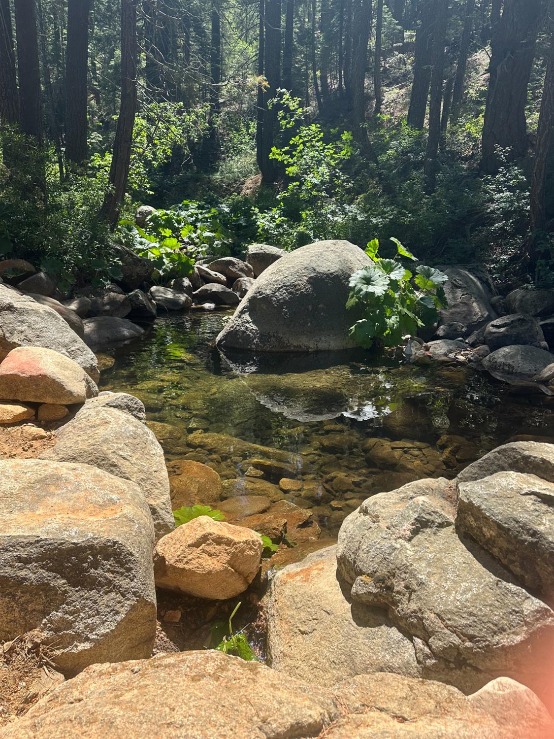 35344 Graniteville Road Nevada City, CA 95959 - Photo 20 of 21