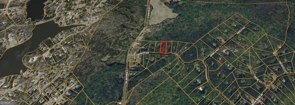 a close up of a plant in a garden