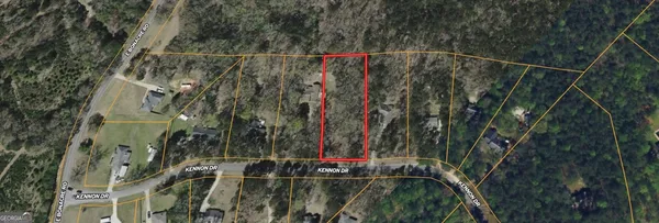 a close up of a plant