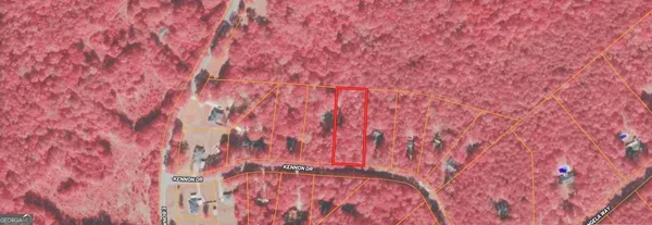 a bathroom with a bathtub and a shower curtain