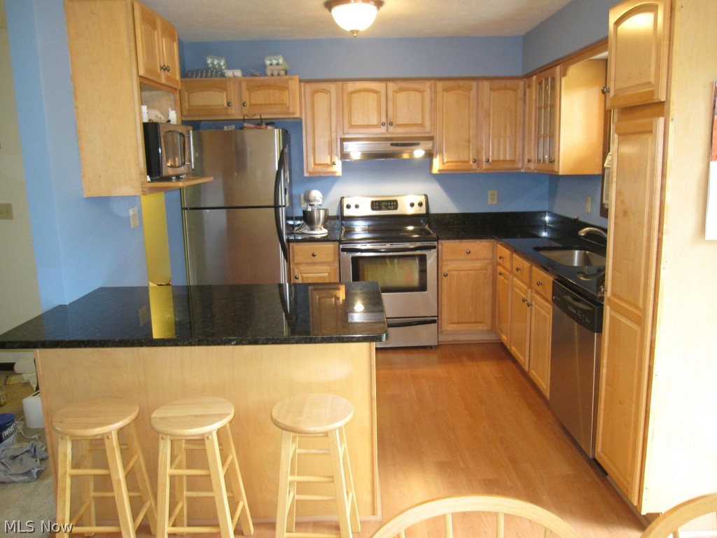 14800 Rapids Road Burton, OH 44021 - Photo 4 of 19 Gallery Image 4