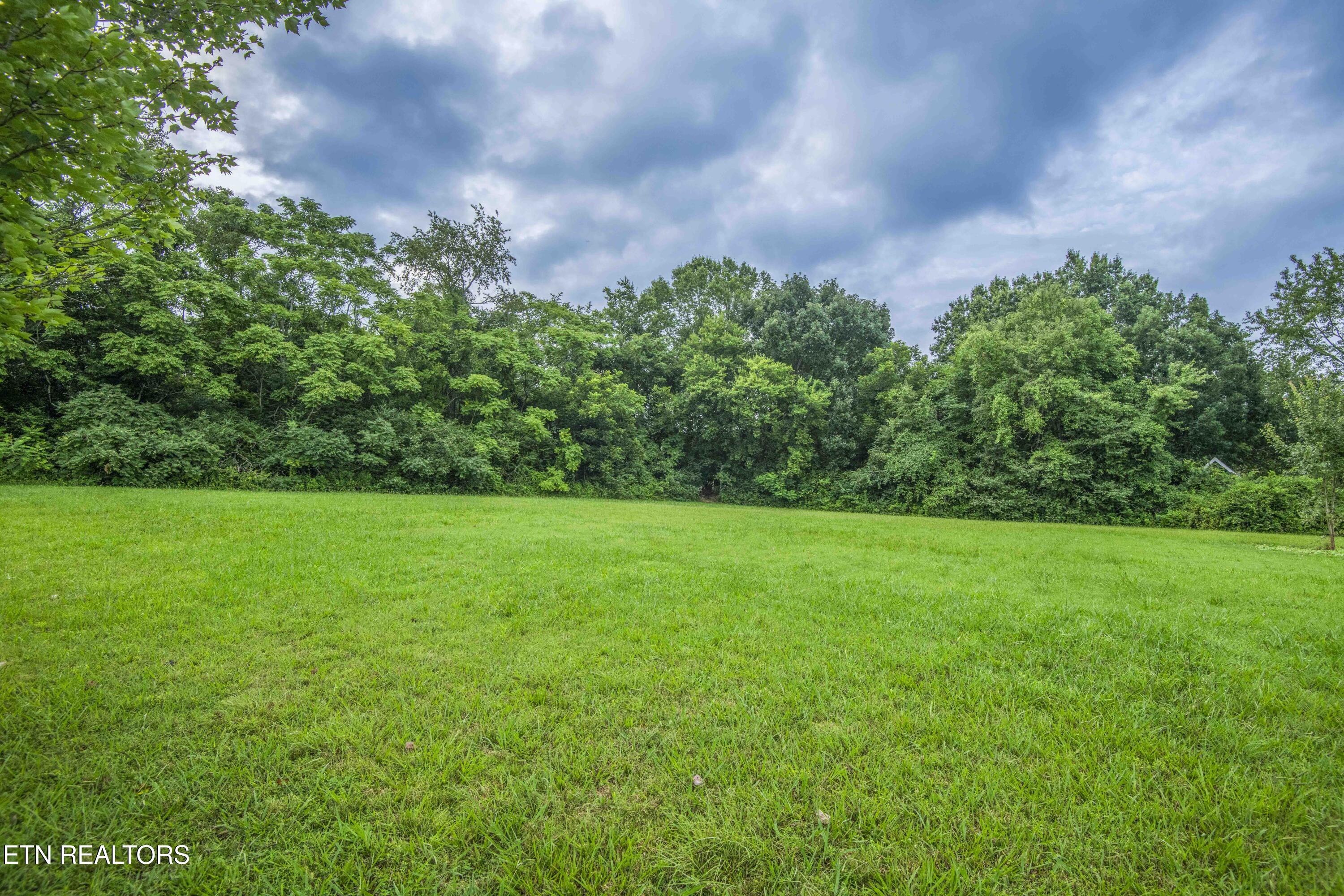 2820 Gray Hendrix Road Knoxville, TN 37931 - Photo 44 of 57 Golf Course Yard