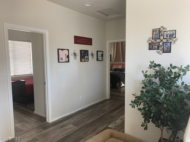 778 Easter Lily Place Henderson, NV 89011 - Photo 14 of 45