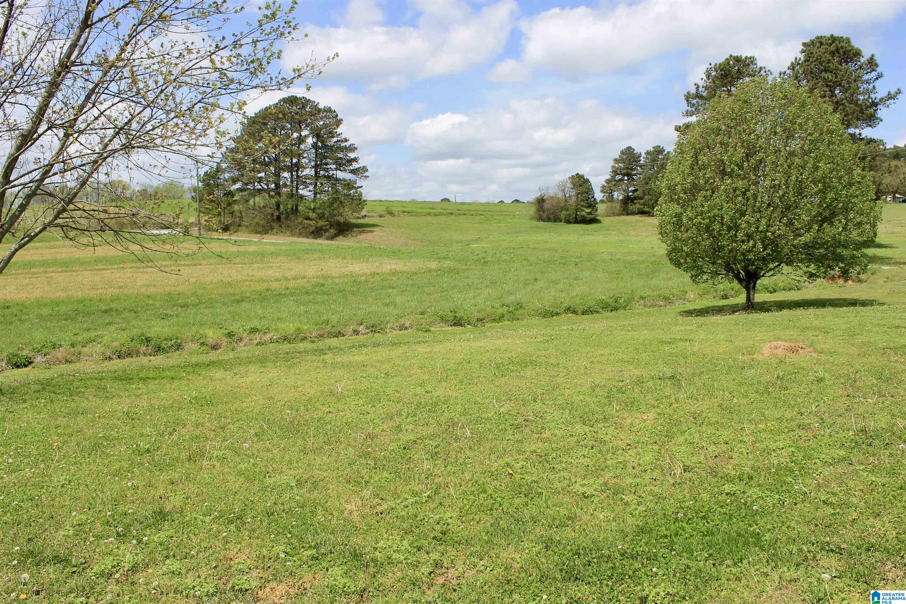235 Lake Road Steele, AL 35987 - Photo 3 of 23