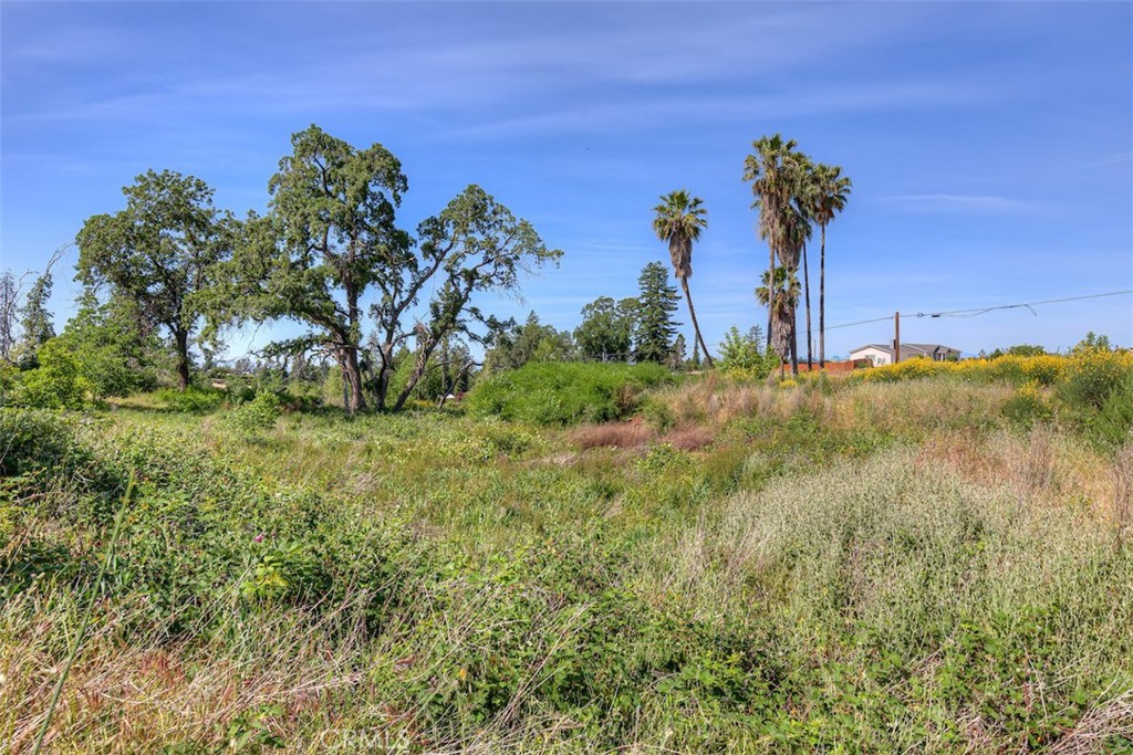 678 Buschmann Road Paradise, CA 95969 - Photo 3 of 13