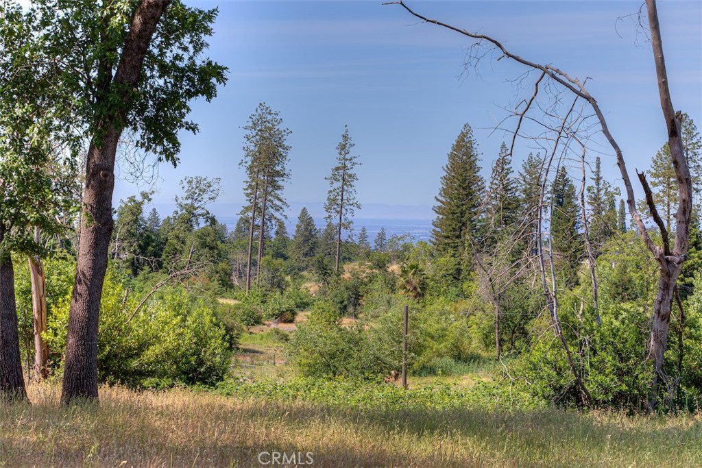 678 Buschmann Road Paradise, CA 95969 - Photo 4 of 13