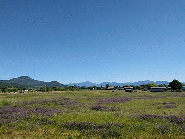 3080 Corey Road Central Point, OR 97502 - Photo 11 of 16 Additional Photo