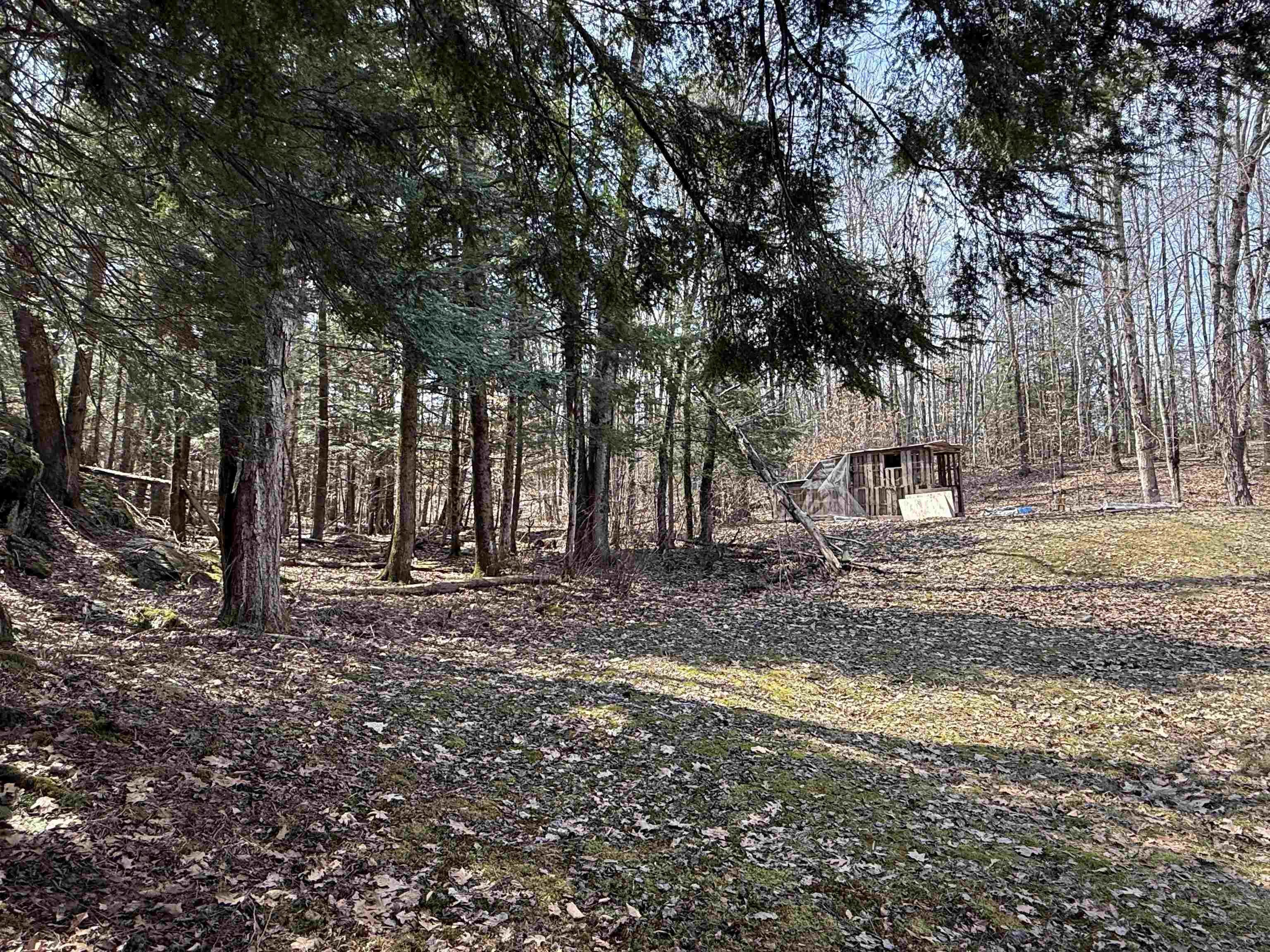 74 Dutton District Road Springfield, VT 05156 - Photo 50 of 58