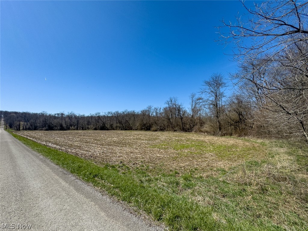 0 Lonesome Road Thornville, OH 43076 - Photo 7 of 31