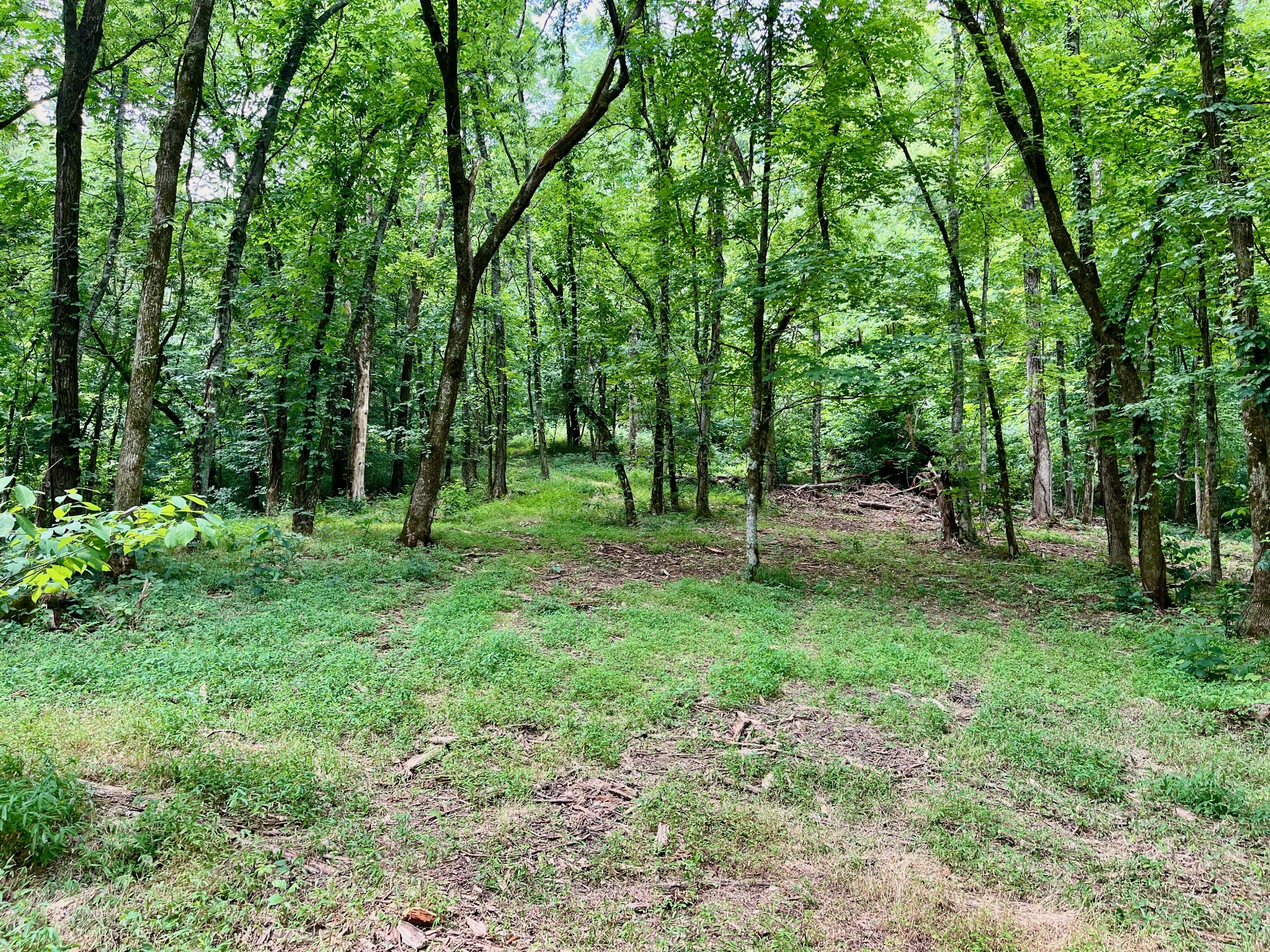 135 Dillehay Hollow Road Pleasant Shade, TN 37145 - Photo 21 of 47