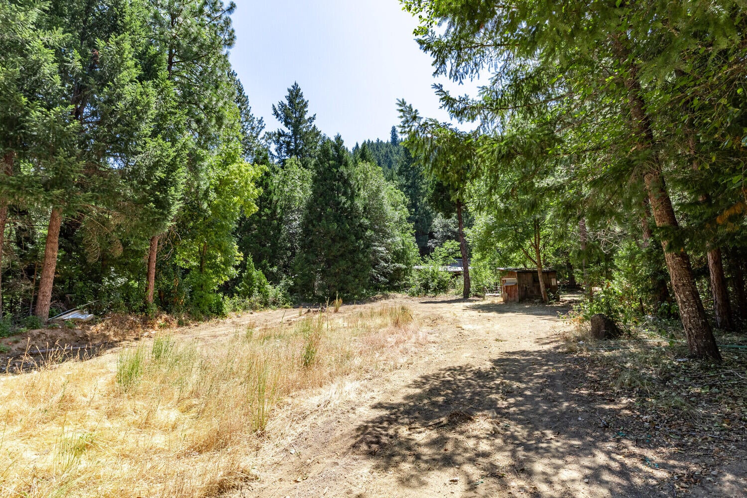2475 Cedar Flat Road Williams, OR 97544 - Photo 35 of 61 27_CFR_28_mls