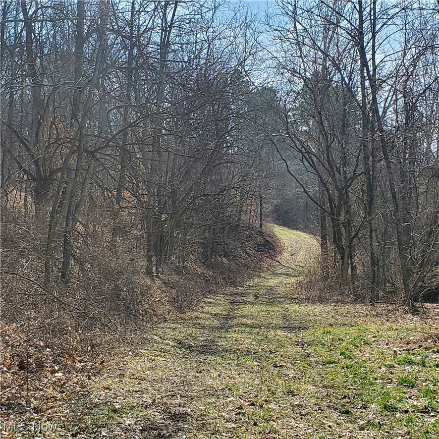 2229 Reeds Run Road Whipple, OH 45788 - Photo 19 of 28 View of landscape
