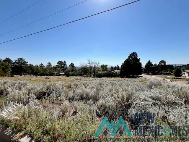 Nelson Street Raton, NM 87740 - Photo 1 of 1 Gallery Image 1