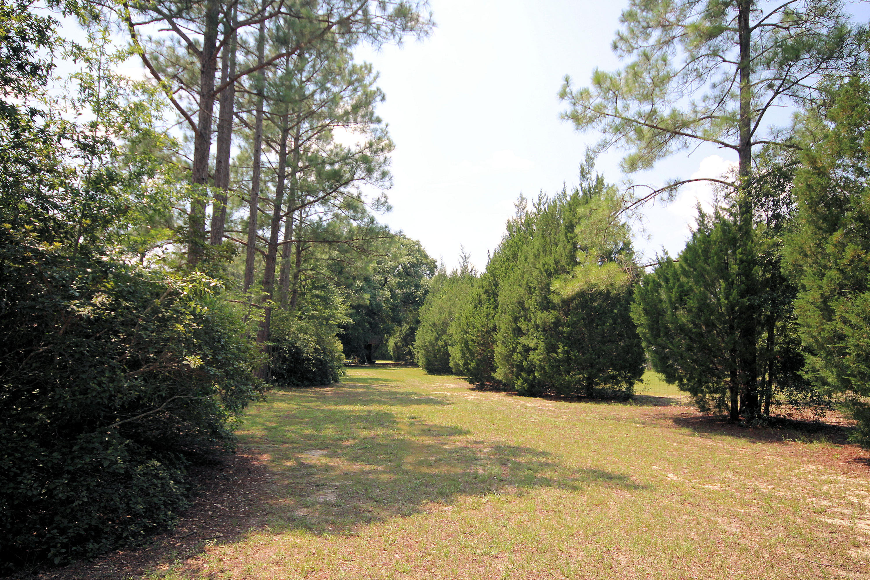 543 John King Road Crestview, FL 32539 - Photo 27 of 32 Side yard