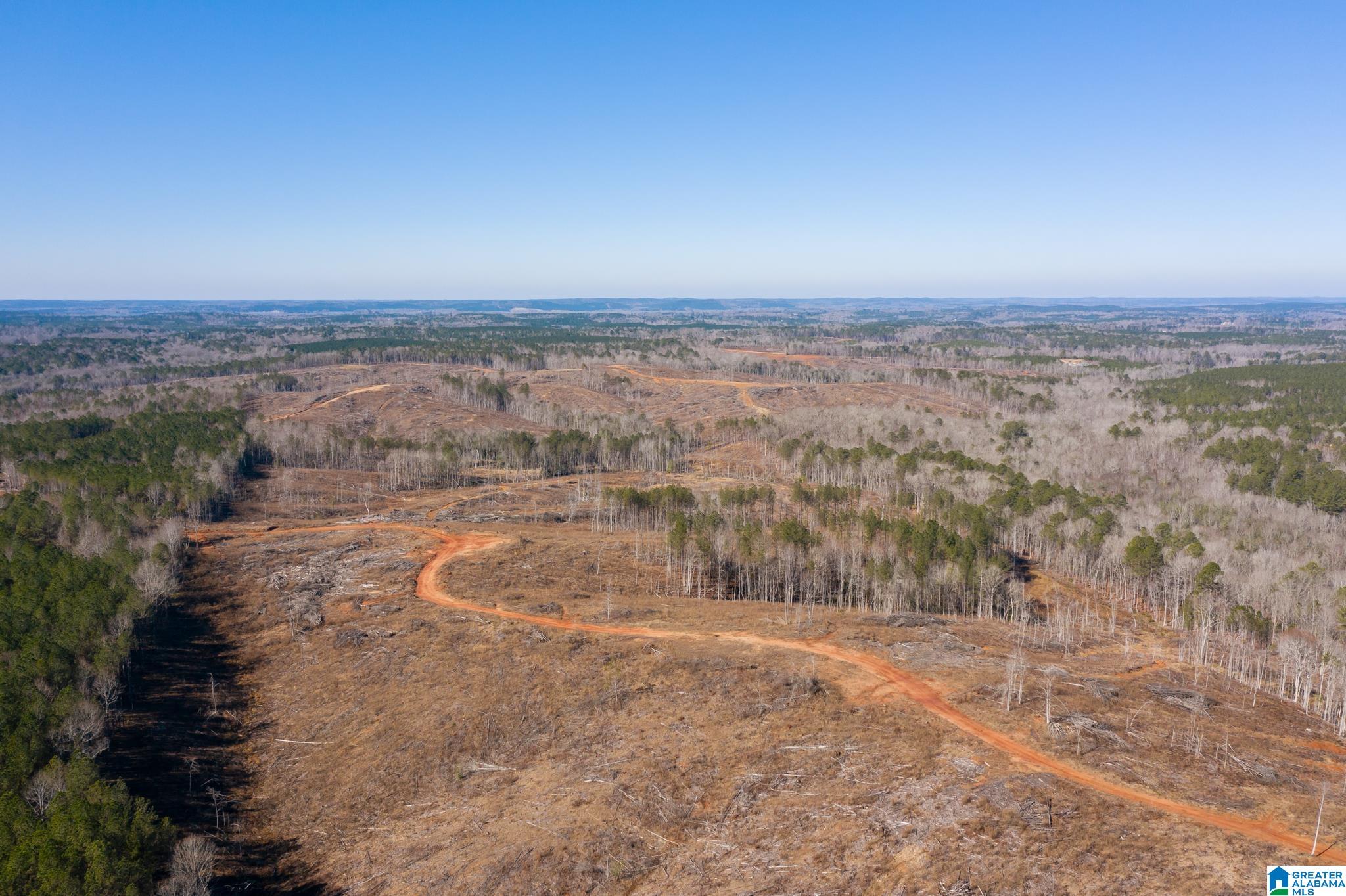 0 Harless Road Northport, AL 35475 - Photo 8 of 34