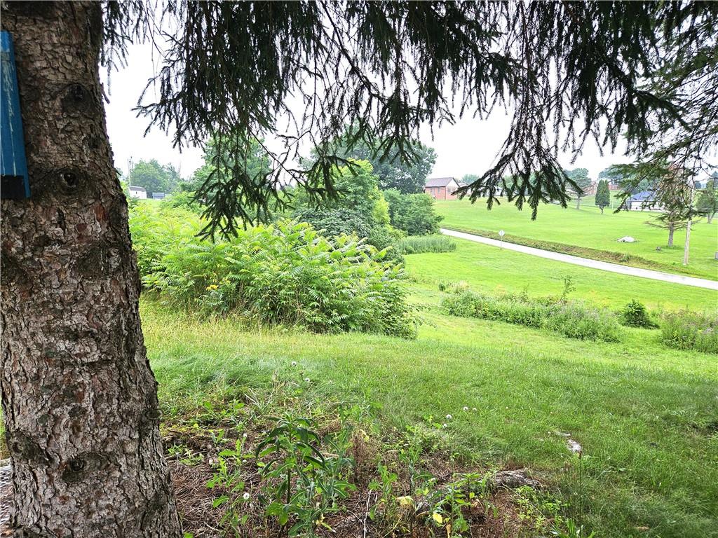 246 Strangford Road Blairsville, PA 15717 - Photo 35 of 41 View of Side Yard down to Sign on Strangford