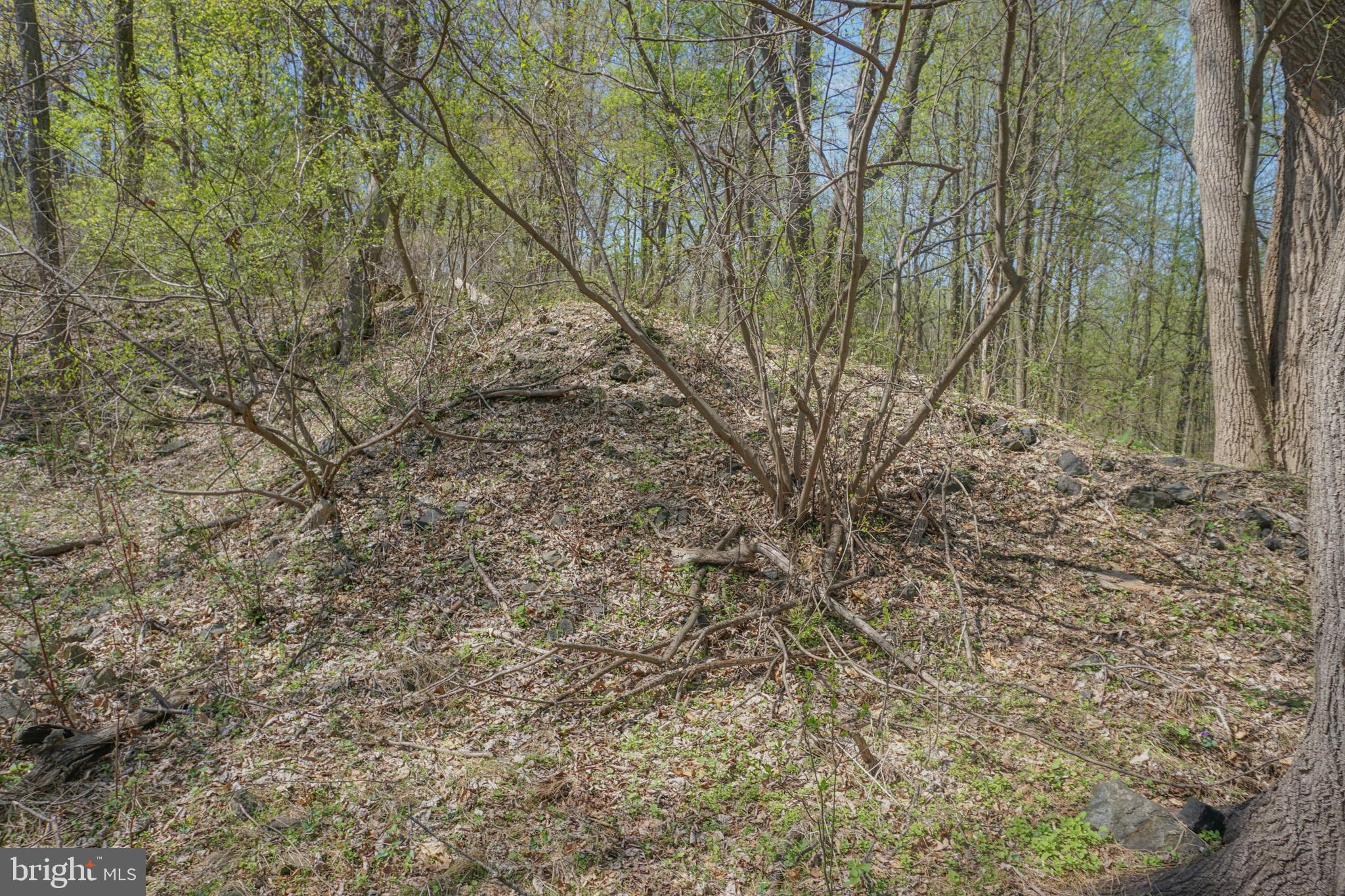 0 South Park Avenue Mertztown, PA 19539 - Photo 11 of 108