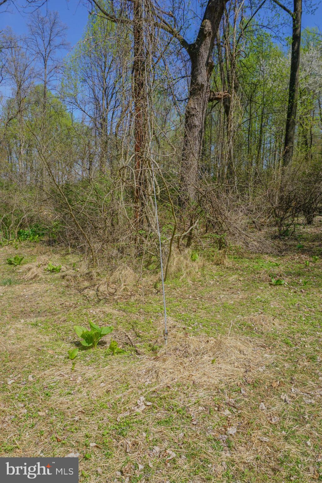 0 South Park Avenue Mertztown, PA 19539 - Photo 40 of 108