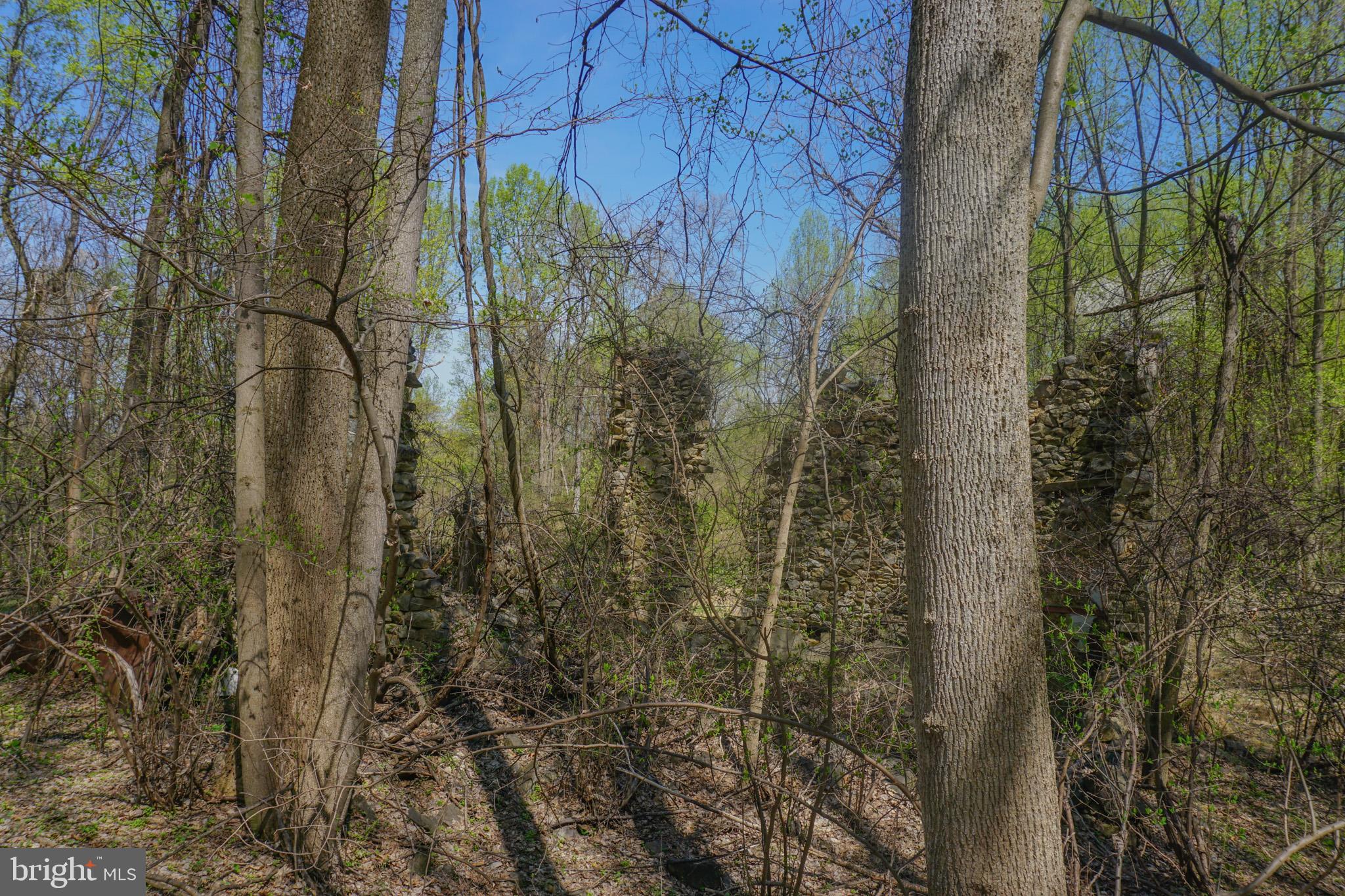 0 South Park Avenue Mertztown, PA 19539 - Photo 51 of 108