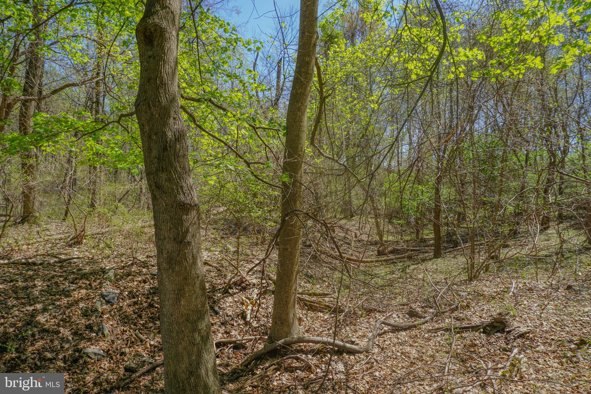0 South Park Avenue Mertztown, PA 19539 - Photo 54 of 108