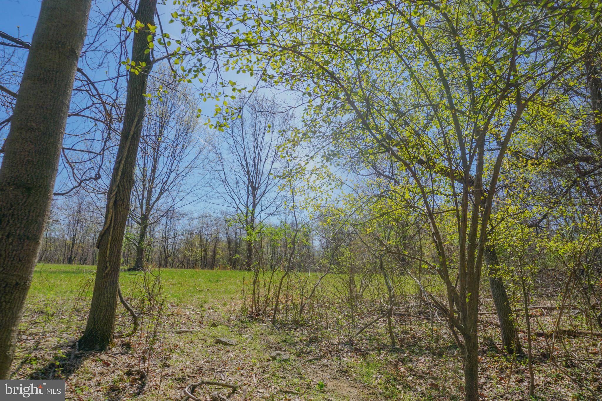 0 South Park Avenue Mertztown, PA 19539 - Photo 55 of 108