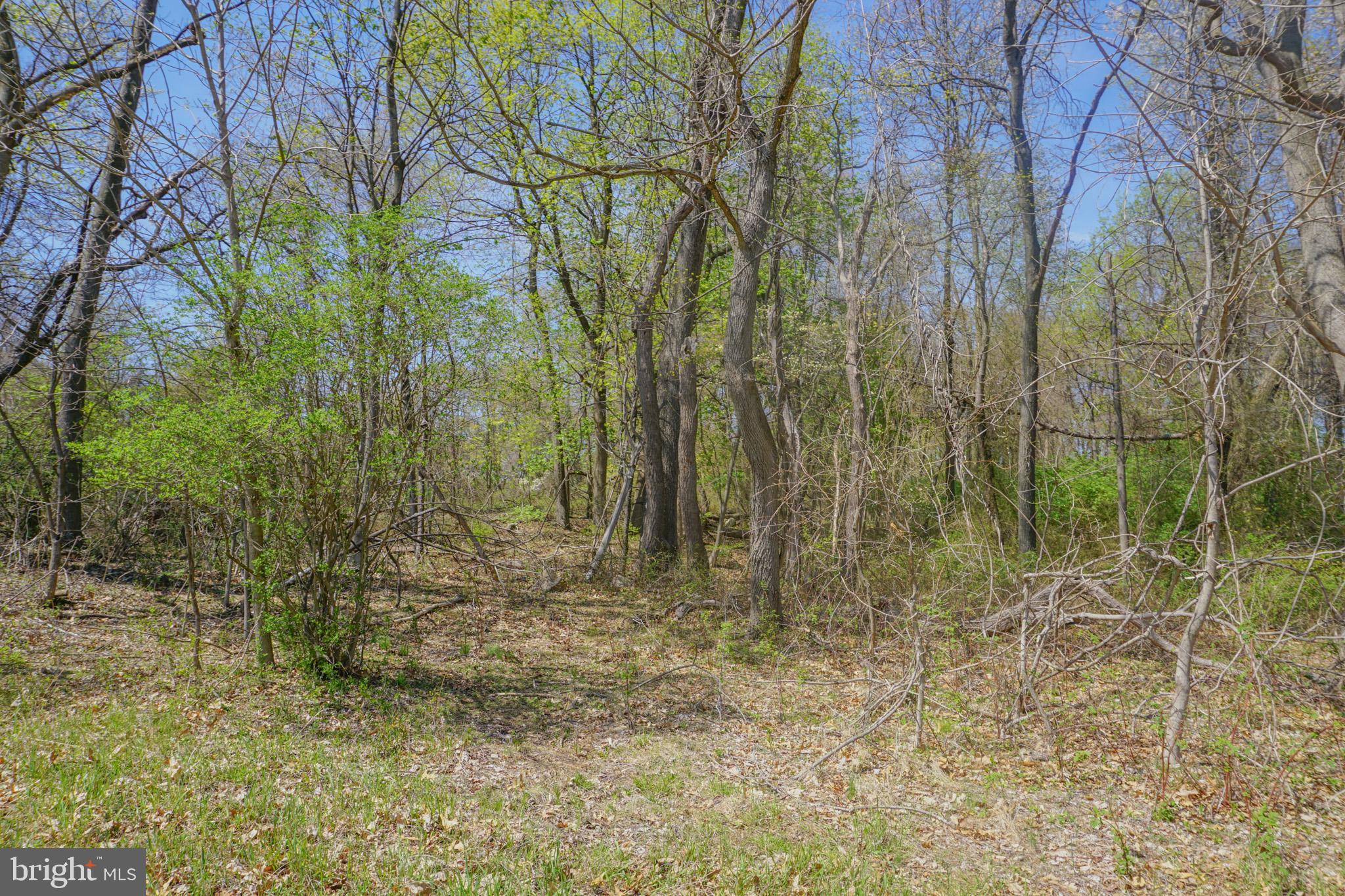 0 South Park Avenue Mertztown, PA 19539 - Photo 61 of 108
