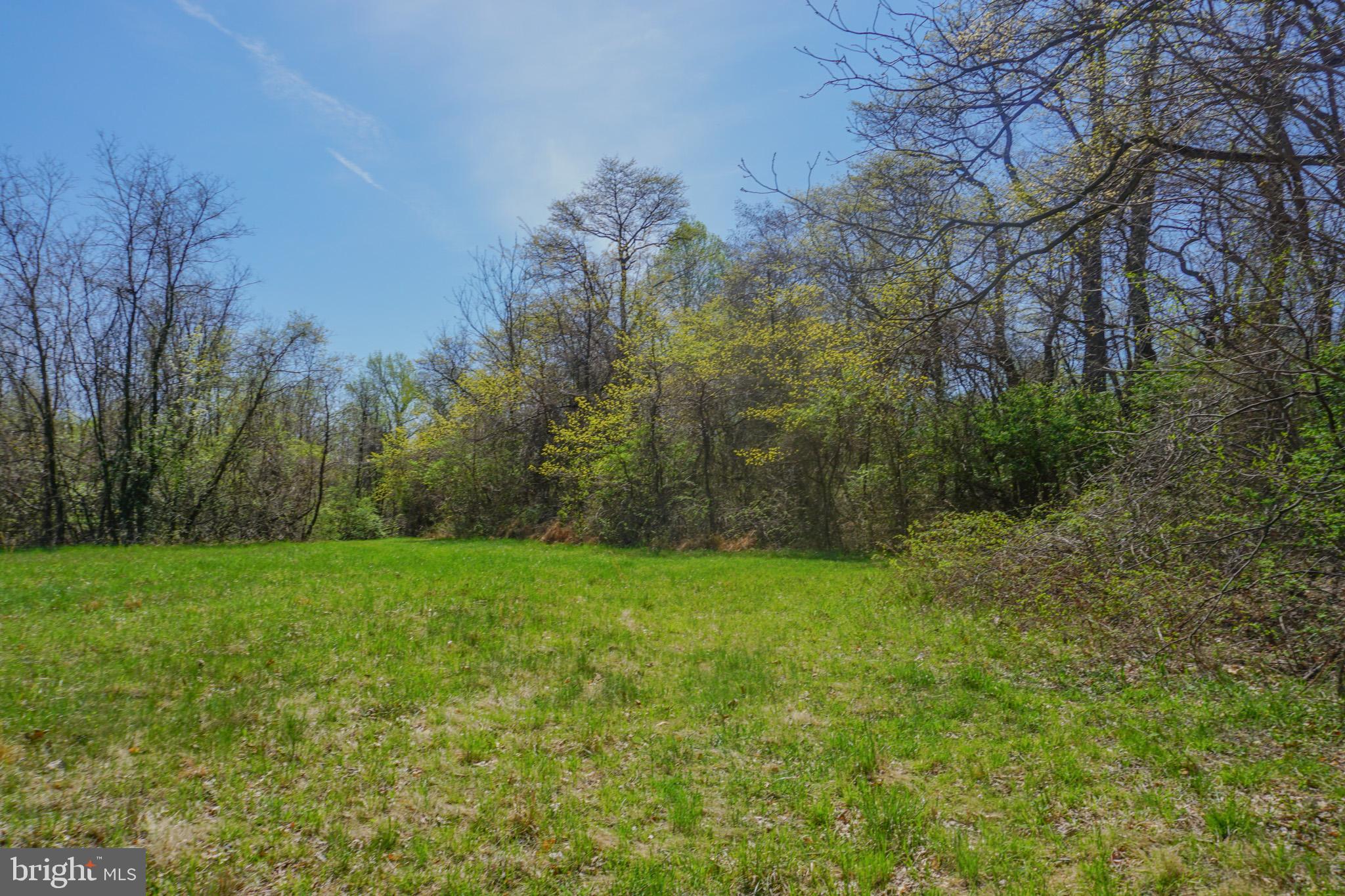 0 South Park Avenue Mertztown, PA 19539 - Photo 62 of 108