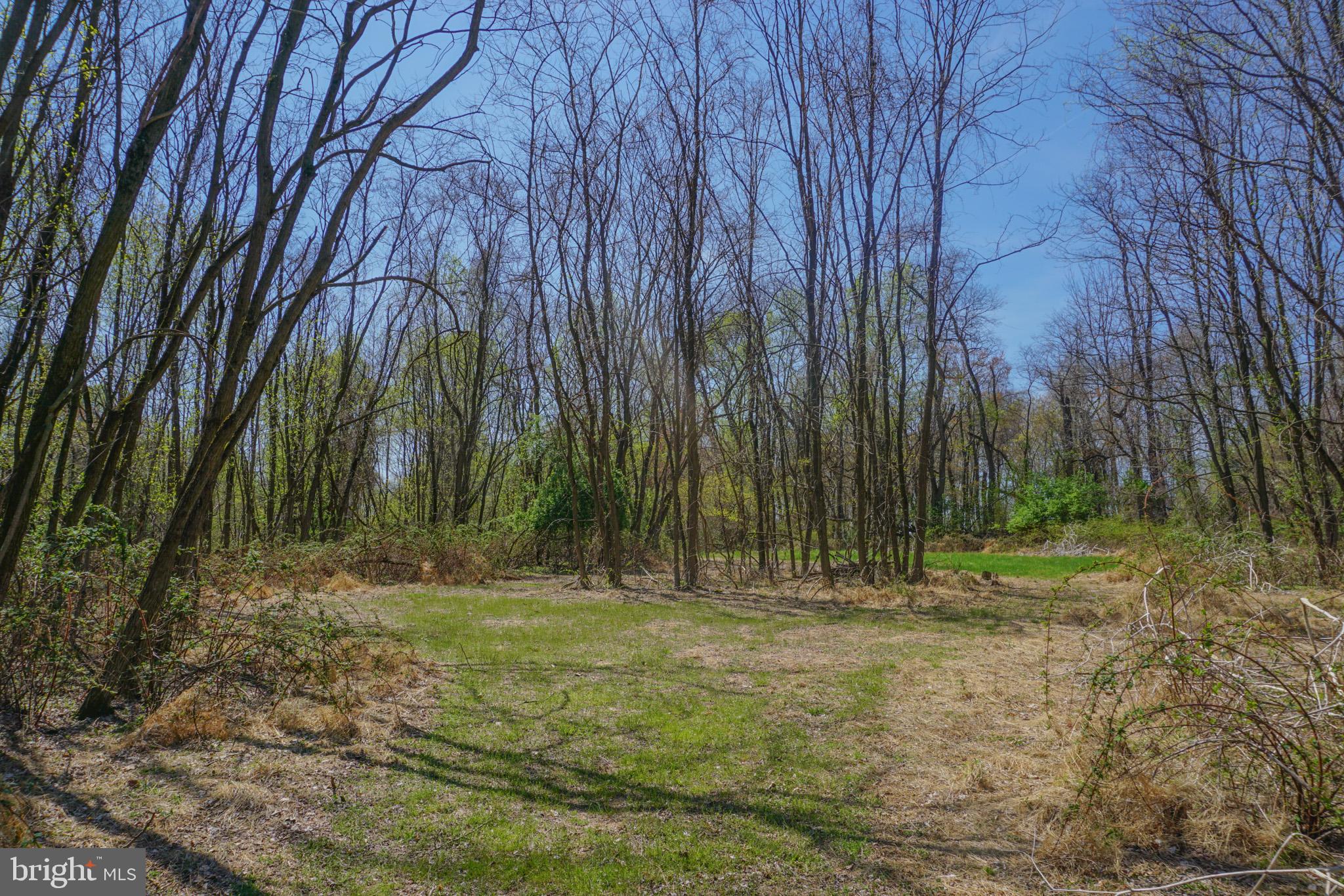 0 South Park Avenue Mertztown, PA 19539 - Photo 64 of 108
