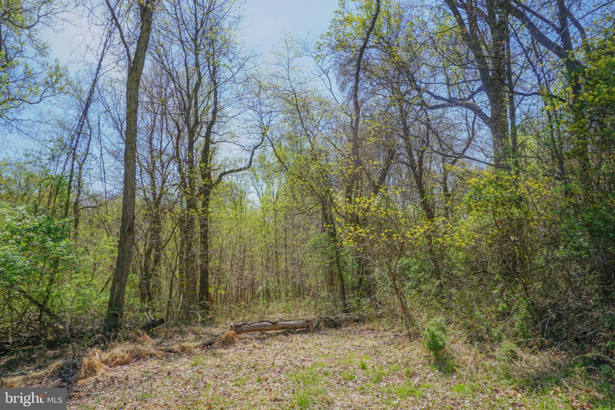 0 South Park Avenue Mertztown, PA 19539 - Photo 69 of 108