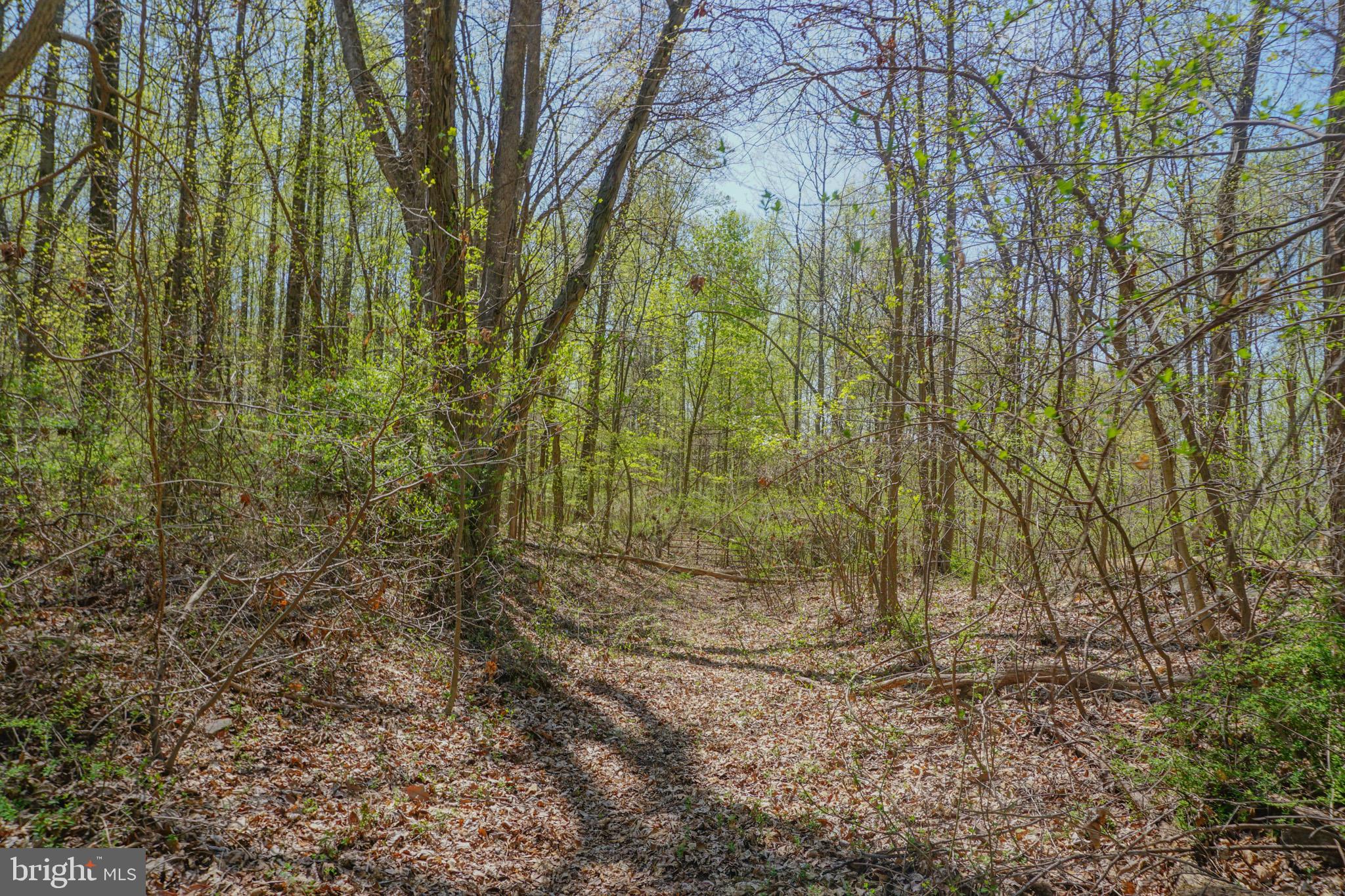 0 South Park Avenue Mertztown, PA 19539 - Photo 81 of 108