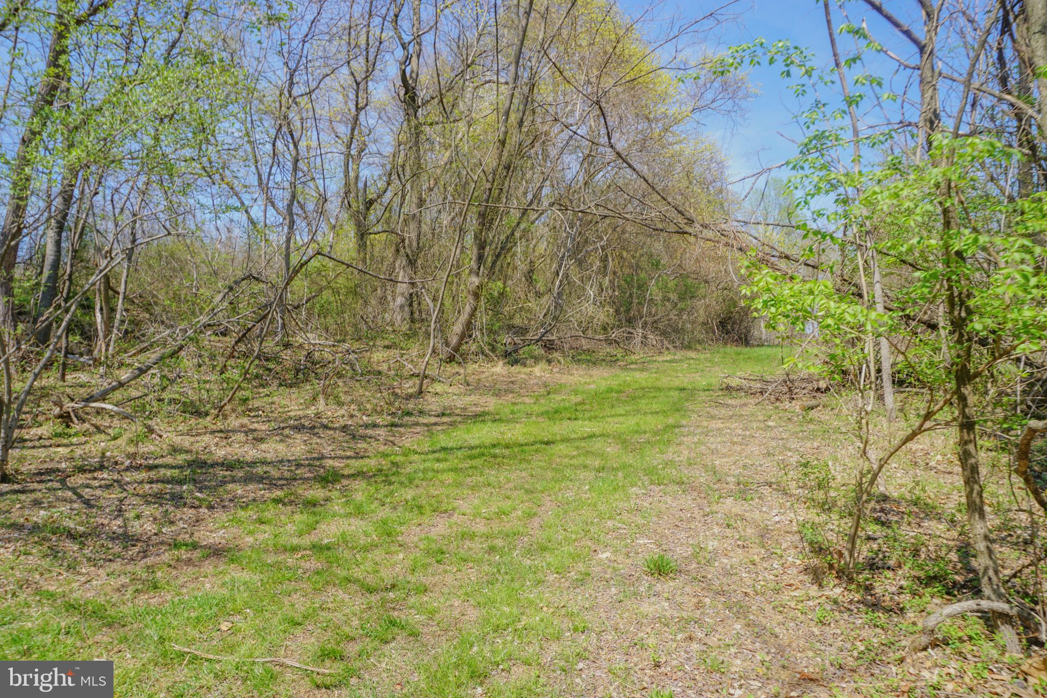 0 South Park Avenue Mertztown, PA 19539 - Photo 96 of 108
