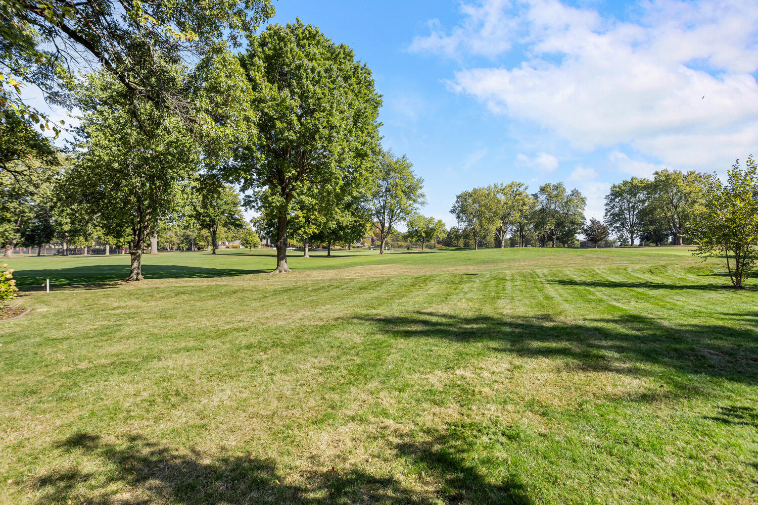 7 Greencroft Drive Champaign, IL 61821 - Photo 40 of 44 a view of a green field with trees in the background