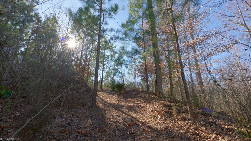 0 Sagebrush Road Ruffin, NC 27326 - Photo 37 of 50 Gallery Image 37
