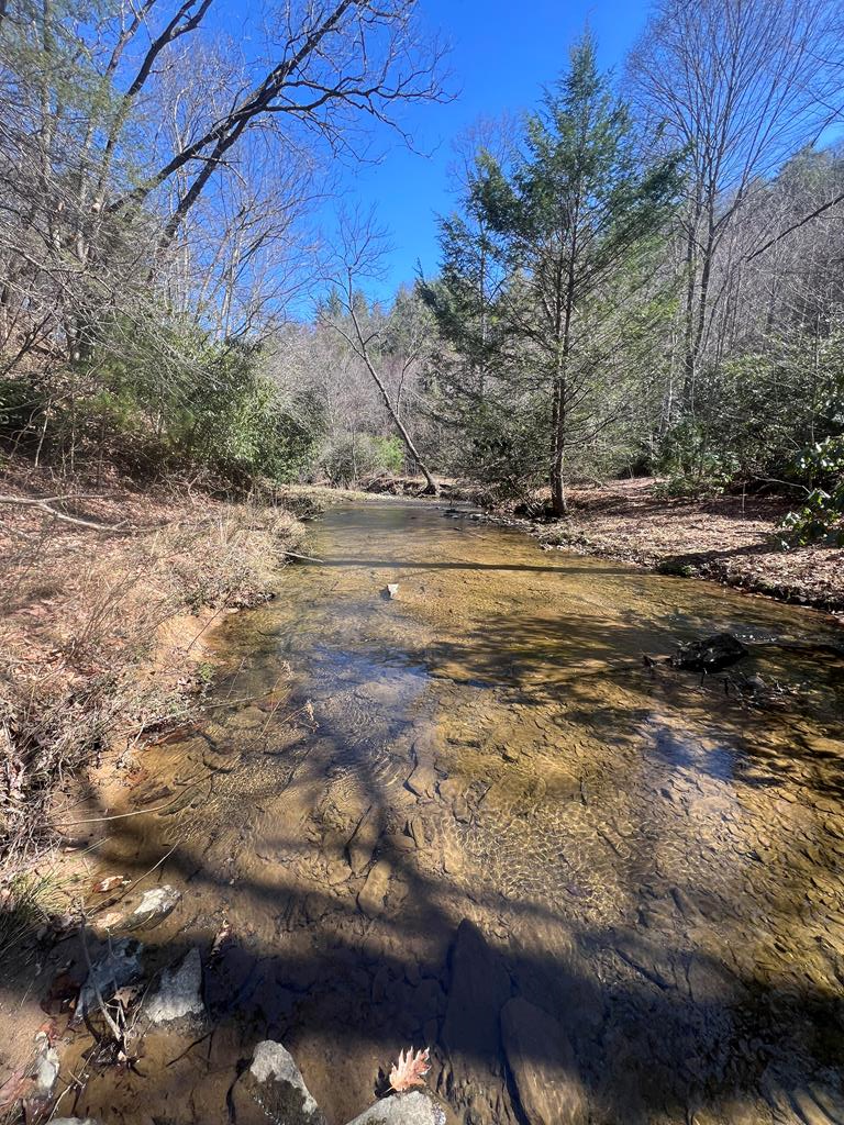 Tbd Tbd Pine Grove Road Austinville, VA 24312 - Photo 1 of 26 Gallery Image 1