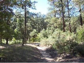 2 High Valley Ranch Road Prescott, AZ 86303 - Photo 4 of 4 Additional Photo