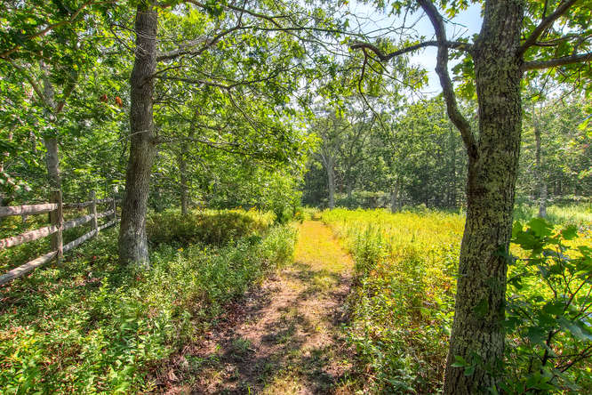 81 Cobbs Hill Road Chilmark, MA 02535 - Photo 11 of 18 Gallery Image 11