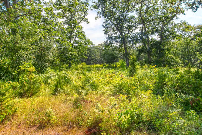 81 Cobbs Hill Road Chilmark, MA 02535 - Photo 12 of 18 Gallery Image 12