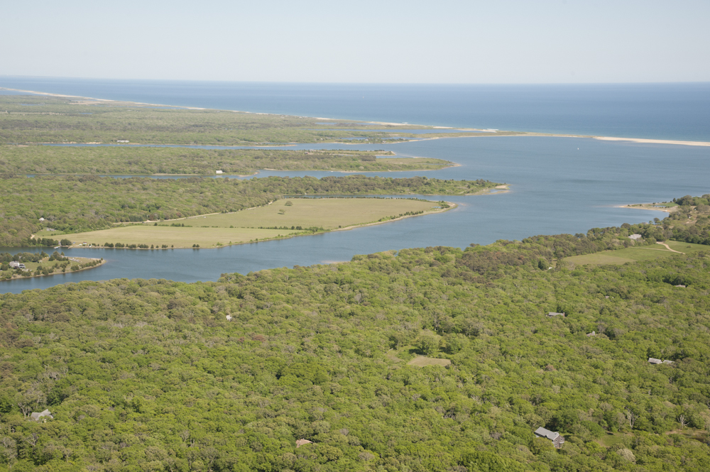 81 Cobbs Hill Road Chilmark, MA 02535 - Photo 4 of 18 Gallery Image 4
