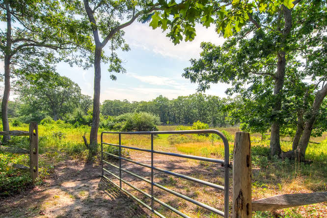 81 Cobbs Hill Road Chilmark, MA 02535 - Photo 6 of 18 Gallery Image 6
