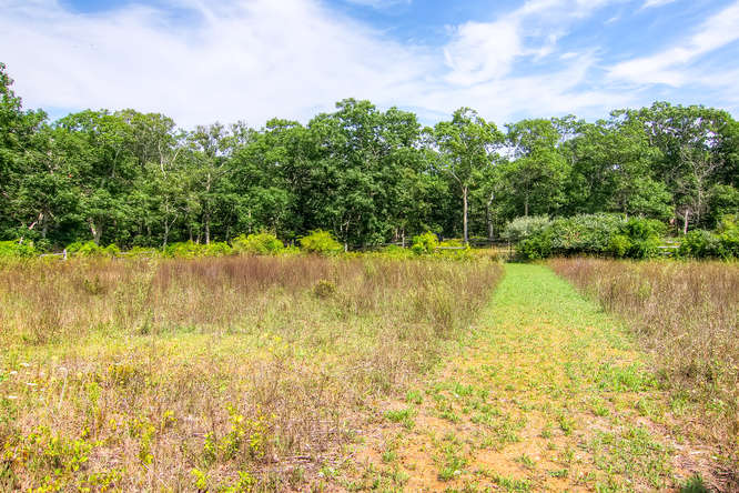 81 Cobbs Hill Road Chilmark, MA 02535 - Photo 7 of 18 Gallery Image 7