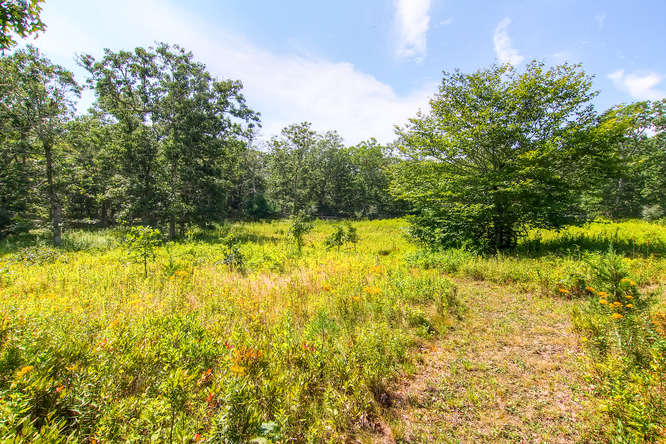81 Cobbs Hill Road Chilmark, MA 02535 - Photo 8 of 18 Gallery Image 8