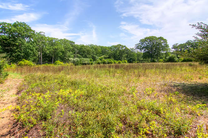 81 Cobbs Hill Road Chilmark, MA 02535 - Photo 9 of 18 Gallery Image 9