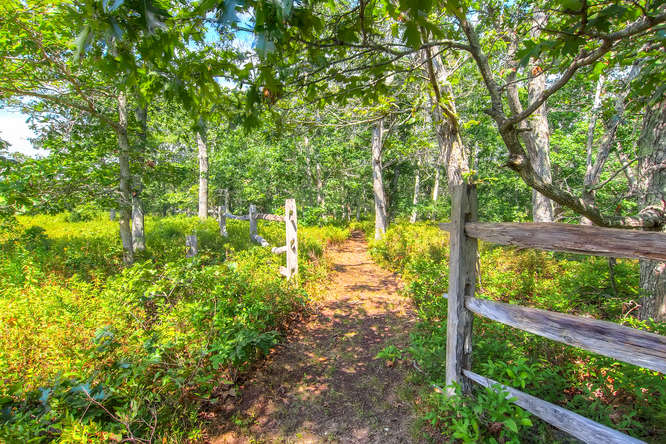 81 Cobbs Hill Road Chilmark, MA 02535 - Photo 10 of 18 Gallery Image 10