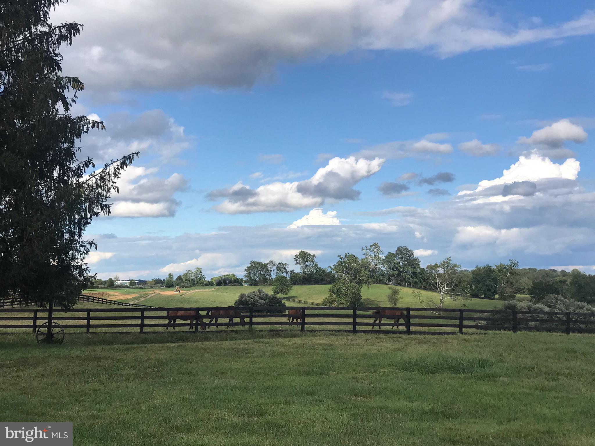 21133 Foxcroft Road Middleburg, VA 20117 - Photo 30 of 41 a view of a golf course with green space