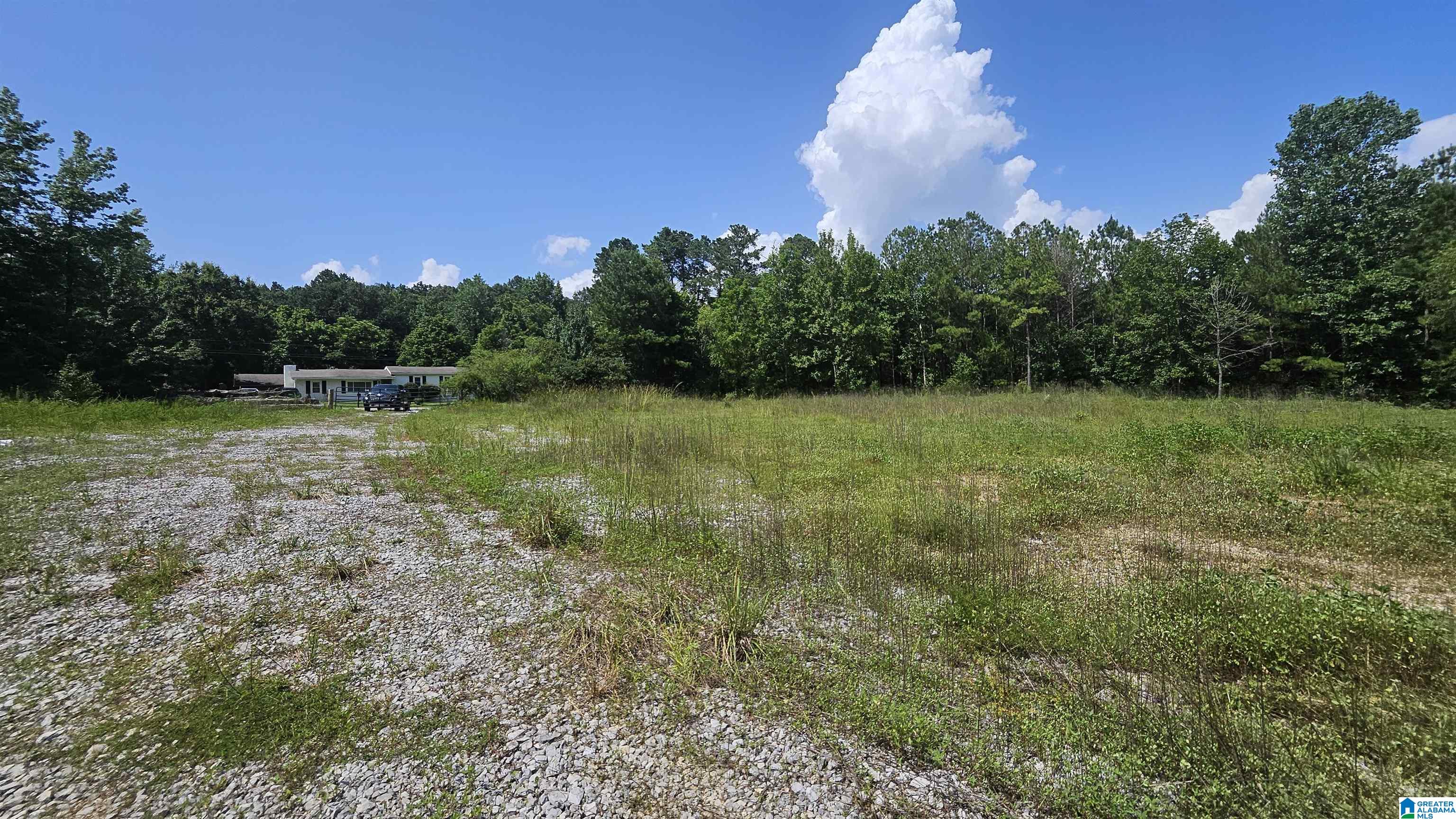 8183 Hopewell Road Bessemer, AL 35022 - Photo 3 of 7