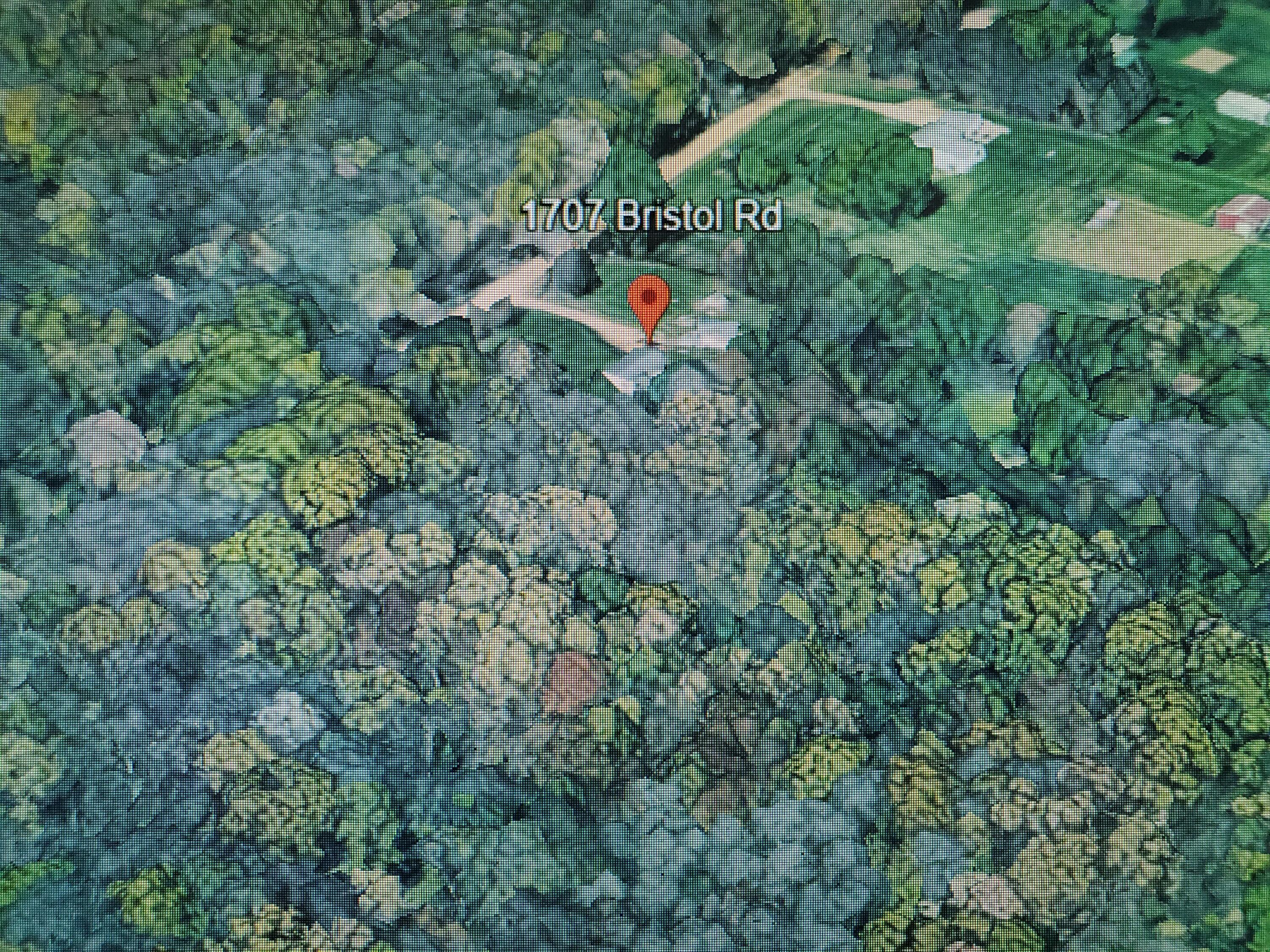 1707 Bristol Road Delton, MI 49046 - Photo 19 of 50 BACK SIDE OF BRISTOL ROAD