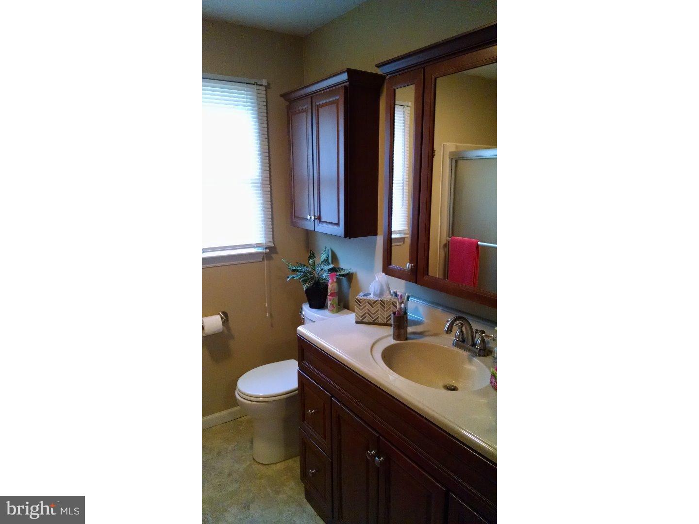 1719 Acorn Drive Sinking Spring, PA 19608 - Photo 10 of 24 Bathroom