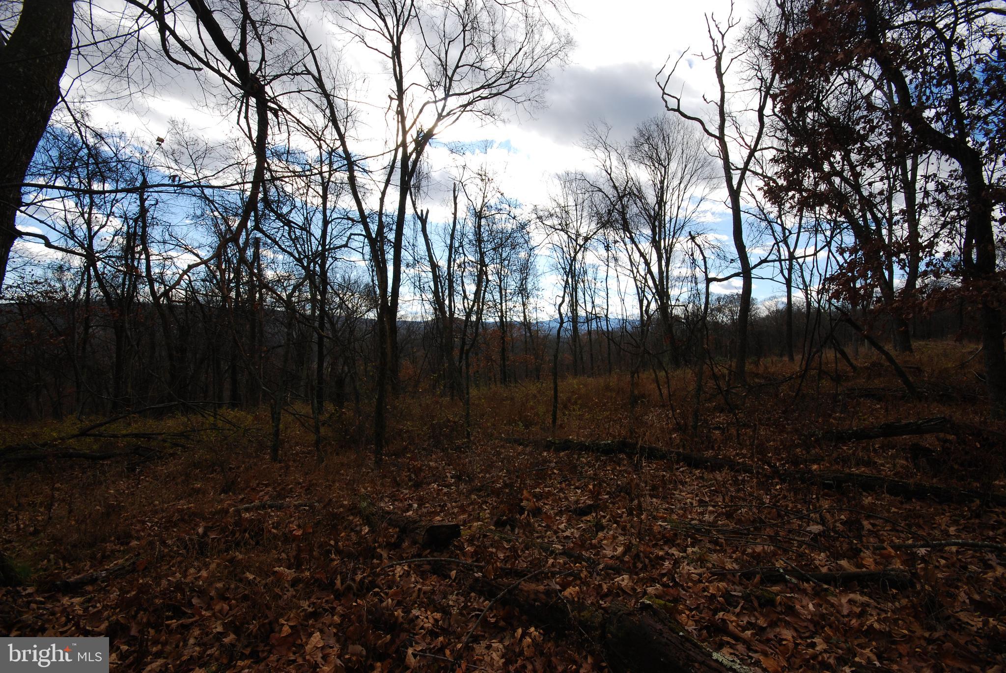 Lot 70-71 Mill Mountain Road Romney, WV 26757 - Photo 29 of 52